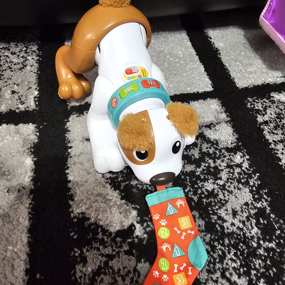 Fisher Price Pull And Play Puppy